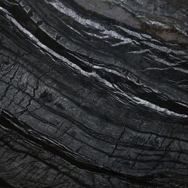 Black Tree